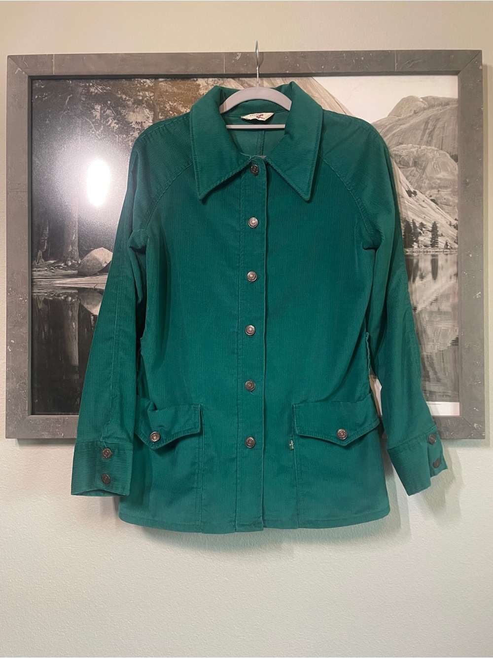 Levi's Big E Vintage Teal Green Utility Button-Up Jacket